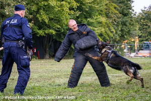 Szkolenie psów służbowych, pies atakuje bandytę, obok policjant.