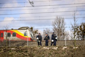 Policjanci stoją przy torach kolejowych, w tle pociąg.