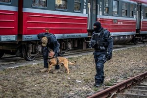 policyjny pies z przewodnikiem sprawdzają pociąg - ćwiczenia