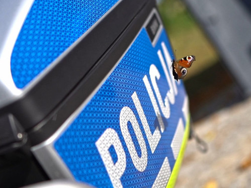 Motyl przelatujący obok motocykla.