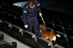 Zdjęcie przedstawia psa policyjnego oraz jego opiekuna, którzy ćwiczą zachowanie podczas działań operacyjnych w sali kinowej.