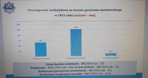 zdjęcie przedstawia monitor komputera podczas konferencji