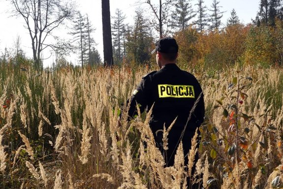 Policjant w mundurze stojący w lesie