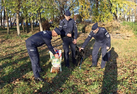 Umundurowani policjanci i pies służbowy