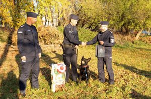 Umundurowani policjanci i pies służbowy