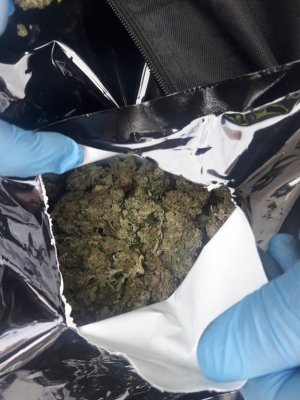 Marihuana zabezpieczona przez policjantów i celników