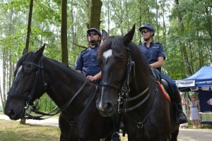 Policjanci na koniach