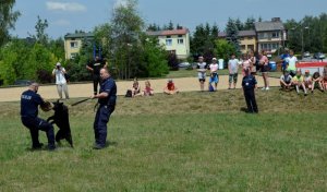 &quot;Bezpieczna kąpiel&quot; w Szydłowcu - pokaz tresury psów policyjnych