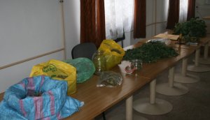 Zabezpieczone narkotyki