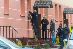 Autor: Szymon Wykrota/cozadzien.pl