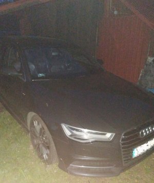 Auto odnalezione w dziupli
