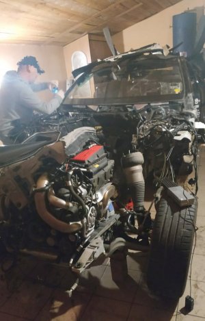 Auto odnalezione w dziupli