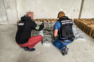 policjanci CBŚP i funkcjonariusze SG przejęli kilkadziesiąt kilogramów marihuany