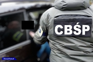 Policjant w kurtce z napisem CBŚP wsadza osobę zatrzymaną do samochodu.