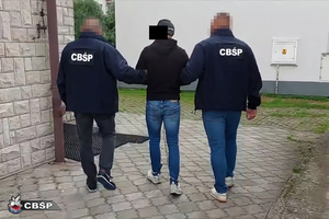 czynności na plantacji