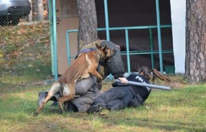 Na zdjęciu zajęcia podczas szkolenie - obrona przewodnika