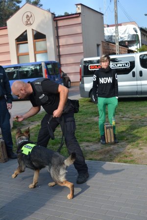 Na zdjęciu zajęcia podczas szkolenia - wyszukiwanie zapachu pomiędzy bagażem, a człowiekiem, ćwiczy mł asp. Bartłomiej Ciupak i Krak.