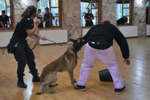 Na zdjęciu st. sierż. Karolina Wielg z psem patrolowo-tropiącym Nitro podczas szkolenia, obezwładniają pozoranta. Foto Piotr taras