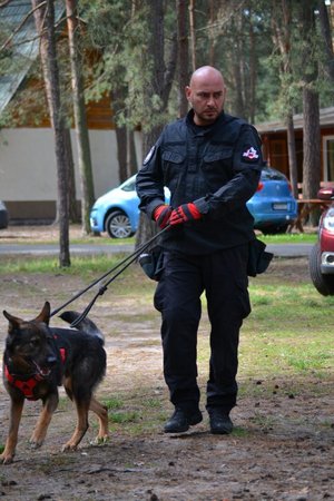 Na zdjęciu mł. asp. Bartłomiej Ciupak  prowadzi na smyczy pasa Kraka. Foto Piotr Taras.