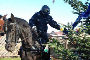 Policjanta z patrolu konnego zawiesza na choince elementy odblaskowe