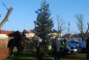 Na zdjęciu uczestnicy akcji ubierają choinkę.