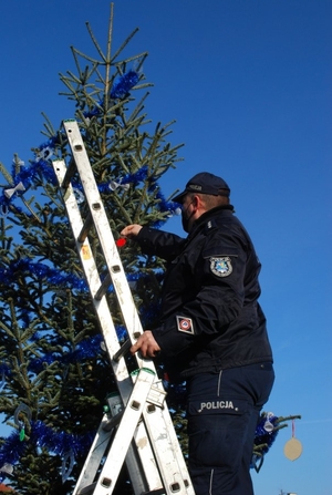 Organizatorzy akcji ubierają choinkę.