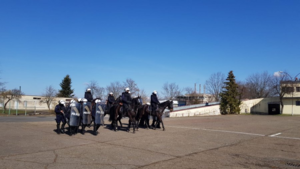 policjanci na koniach biorący udział w szkoleniu