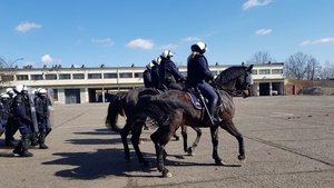 policjanci na koniach biorący udział w szkoleniu