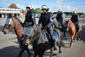 Policjanci na koniach podczas atestacji.