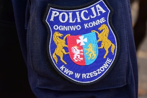 Policjanci na koniach podczas atestacji.