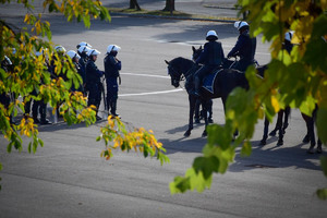 Policjanci na koniach podczas atestacji.