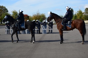 Policjanci na koniach podczas atestacji.