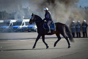 Policjanci na koniach podczas atestacji.