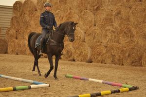 Egzamin policyjnych wierzchowców