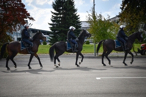 Policyjni jeźdźcy na koniach podczas przygotowań do atestacji na placu Oddziału Prewencji Policji w Rzeszowie