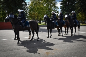 Policyjni jeźdźcy na koniach podczas przygotowań do atestacji na placu Oddziału Prewencji Policji w Rzeszowie