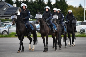 Policyjni jeźdźcy na koniach podczas przygotowań do atestacji na placu Oddziału Prewencji Policji w Rzeszowie