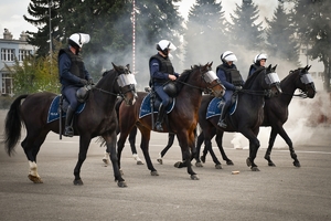Policyjni jeźdźcy na koniach podczas przygotowań do atestacji na placu Oddziału Prewencji Policji w Rzeszowie