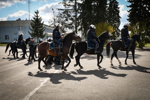 Policyjni jeźdźcy na koniach podczas przygotowań do atestacji na placu Oddziału Prewencji Policji w Rzeszowie