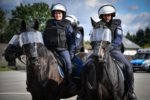 Policyjni jeźdźcy na koniach podczas przygotowań do atestacji na placu Oddziału Prewencji Policji w Rzeszowie