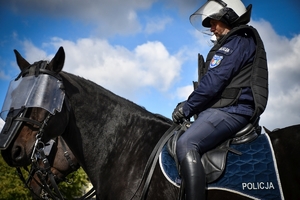 Policyjni jeźdźcy na koniach podczas przygotowań do atestacji na placu Oddziału Prewencji Policji w Rzeszowie