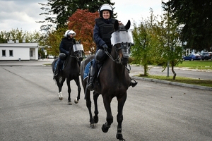 Policyjni jeźdźcy na koniach podczas przygotowań do atestacji na placu Oddziału Prewencji Policji w Rzeszowie