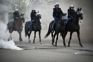 Policyjni jeźdźcy na koniach podczas przygotowań do atestacji na placu Oddziału Prewencji Policji w Rzeszowie