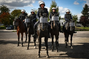 Policyjni jeźdźcy na koniach podczas przygotowań do atestacji na placu Oddziału Prewencji Policji w Rzeszowie