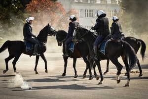 Policyjni jeźdźcy na koniach podczas przygotowań do atestacji na placu Oddziału Prewencji Policji w Rzeszowie