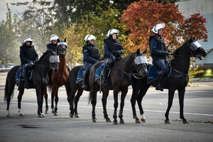 Policyjni jeźdźcy na koniach podczas przygotowań do atestacji na placu Oddziału Prewencji Policji w Rzeszowie