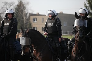 Atestacja policyjnych jeźdźców i koni