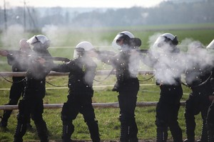 Atestacja policyjnych jeźdźców i koni