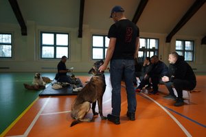 Szkolenie przewodników psów