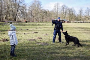 Szkolenie psów służbowych